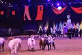 2014-12-05 22-20-07 (2)